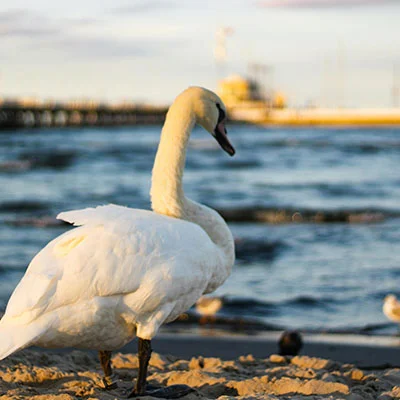 How the SAVE Plan Can Lower Your Monthly Student Loan Payments