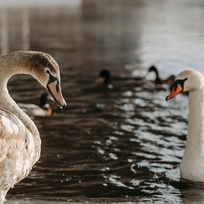 What Makes a First-Time Borrower Eligible for a Payday Loan?