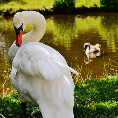 Emergency Loans in Vicksburg, MS: What You Need to Know