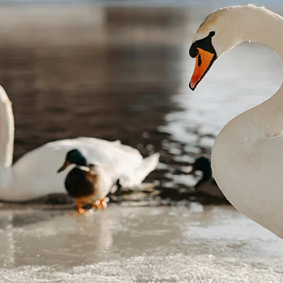 Are Guaranteed Payday Loans Really Guaranteed? Here’s the Scoop